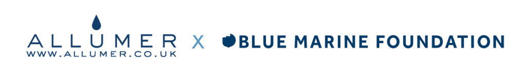 Logo for the blog