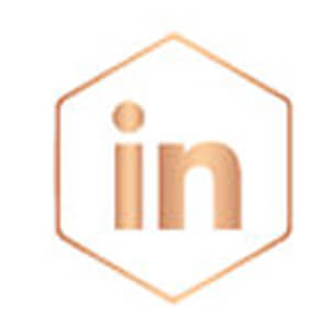 linkedin rose gold icon