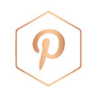 pinterest rose gold icon