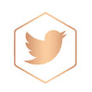 twitter icon rose gold